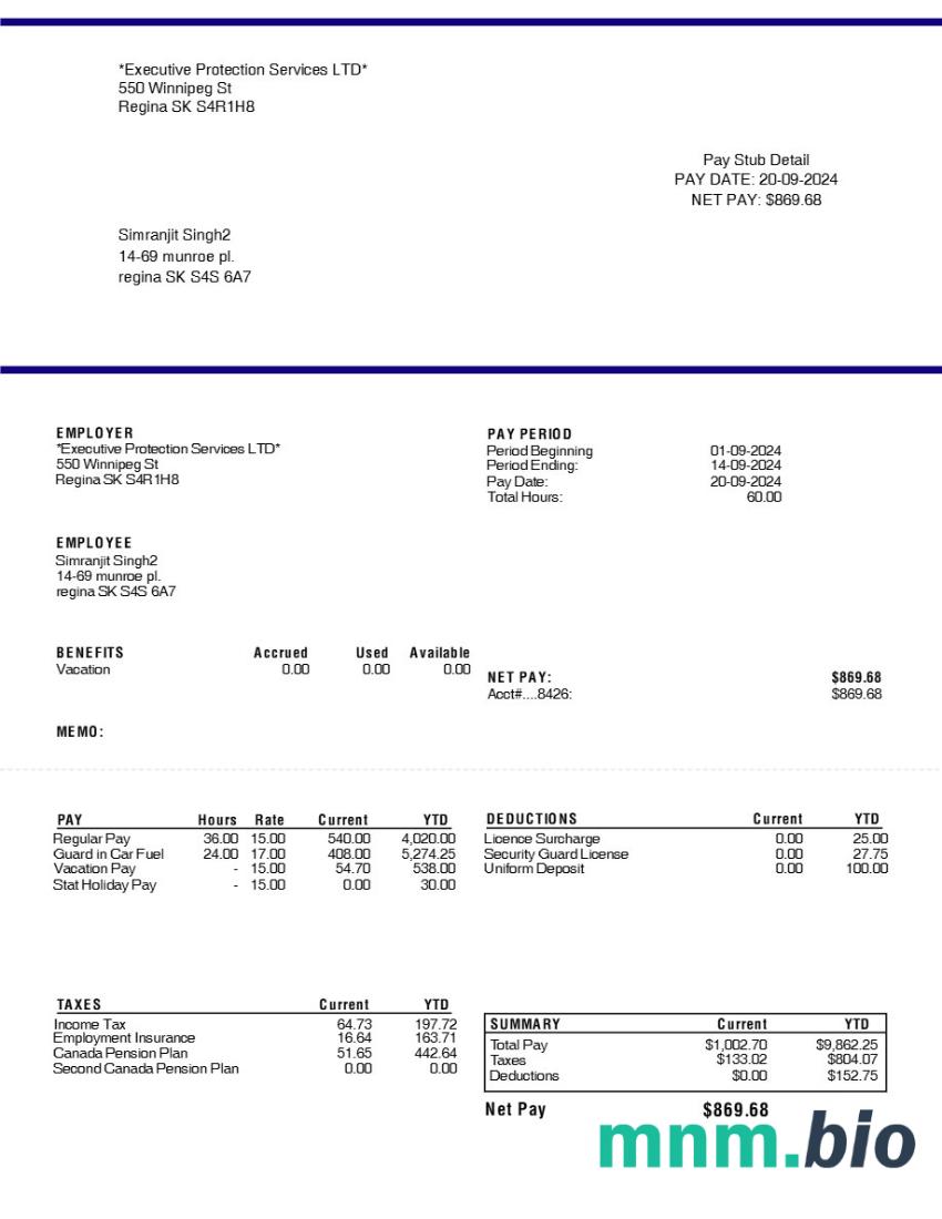 Executive Protection Services LTD pay stub template w formatach Word i PDF